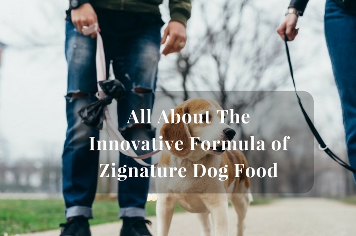 Zignature Dog Food review