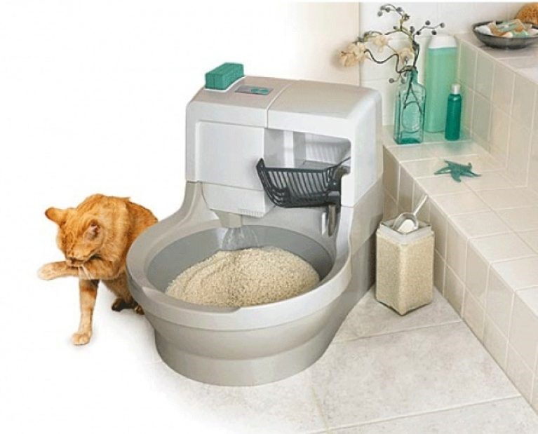 Can You Flush Cat Litter? Don’t Be Shocked To Know The Answer! The